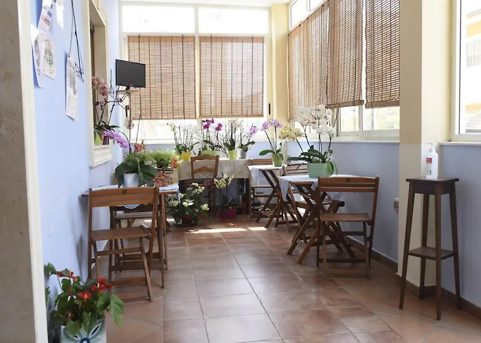 加利福尼亚酒店 3* 卡洛福泰